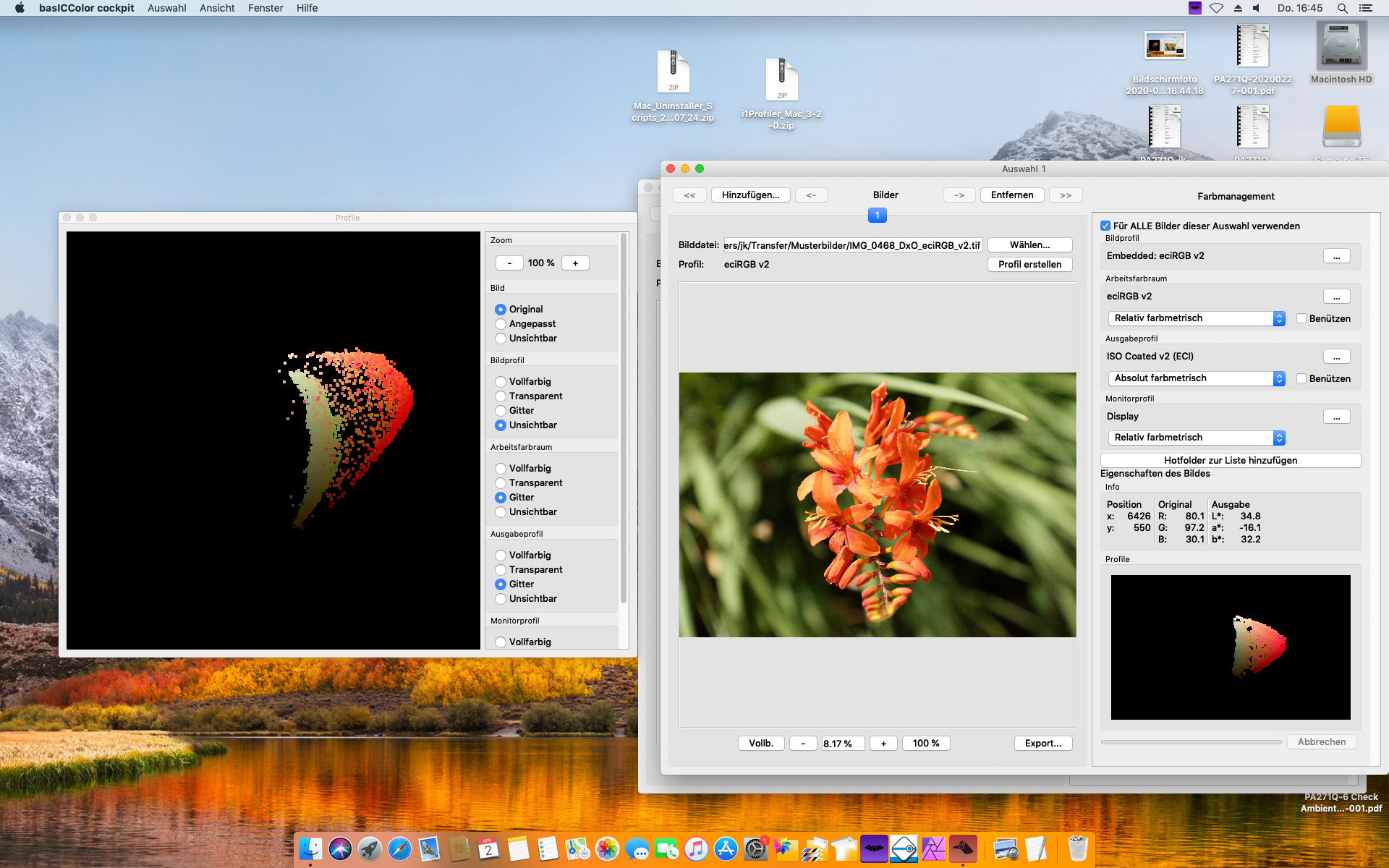 basiccolor display 6 pro